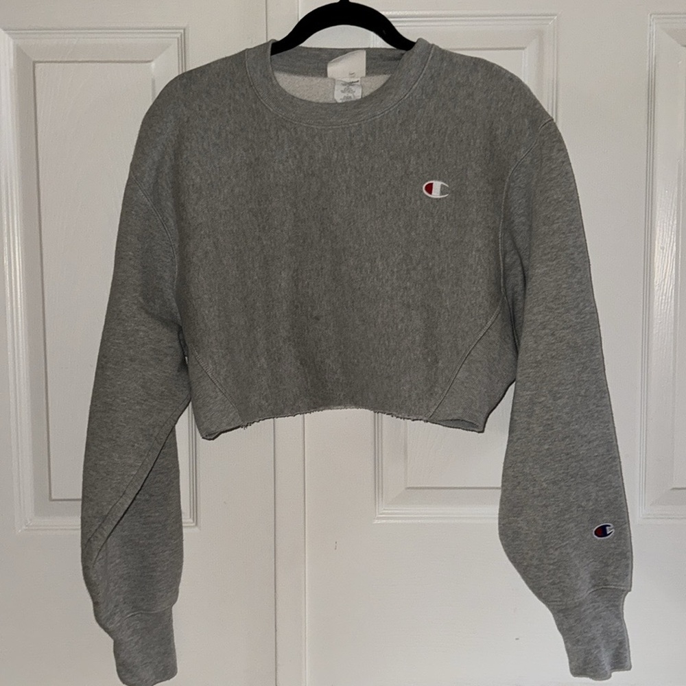NWOT UO Grey Cropped Sweatshirt Sweater